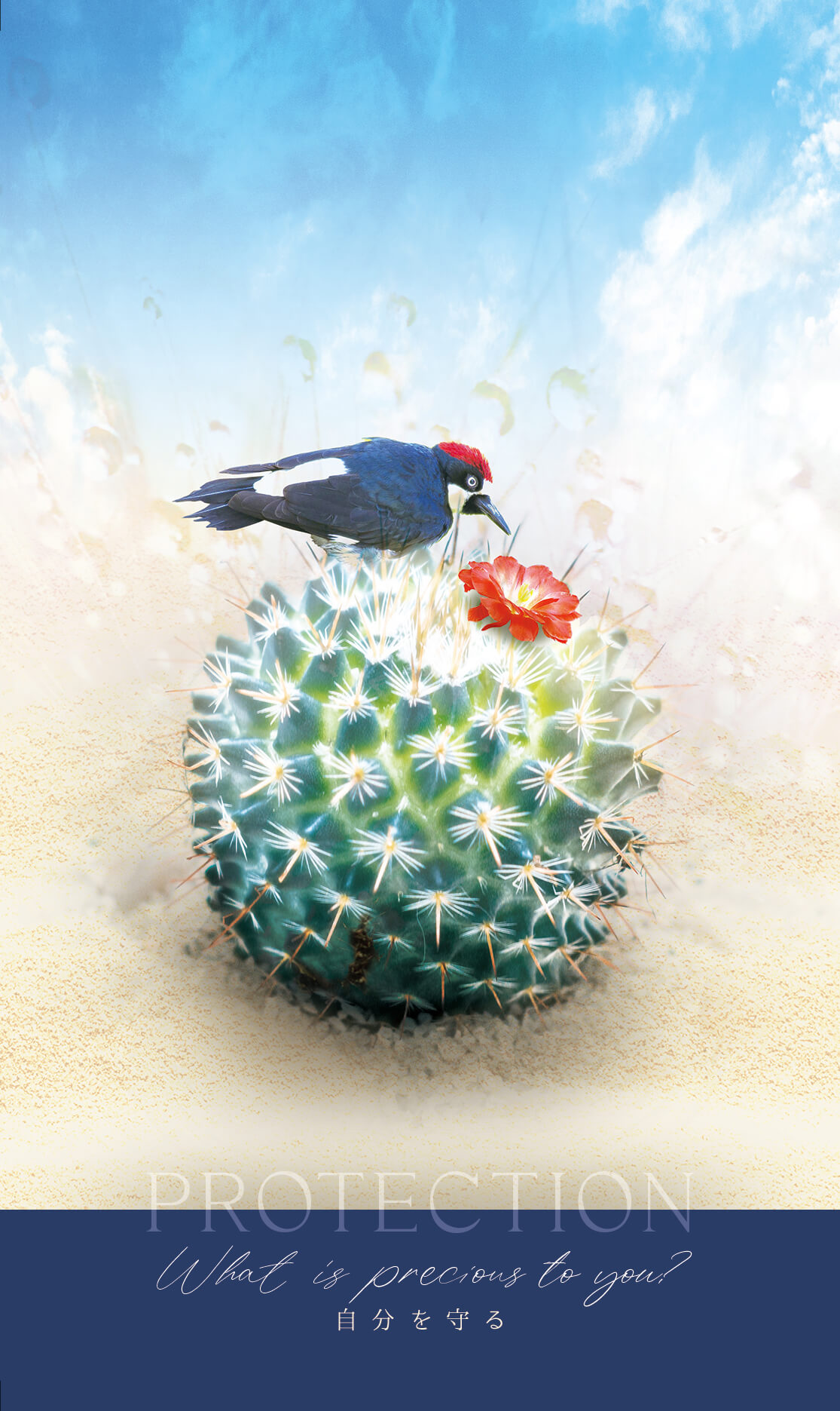  PROTECTION What is precious to you? 自分を守る 