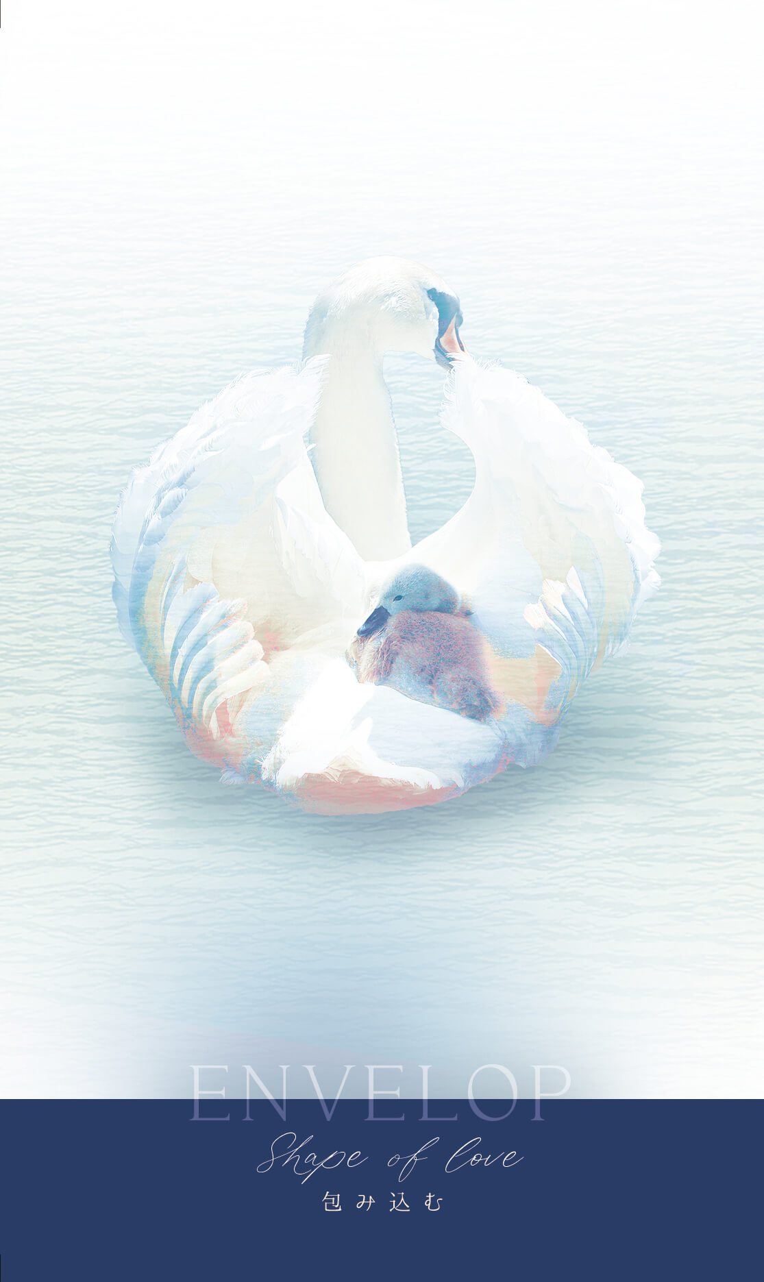  ENVELOP Shape of love 包み込む 