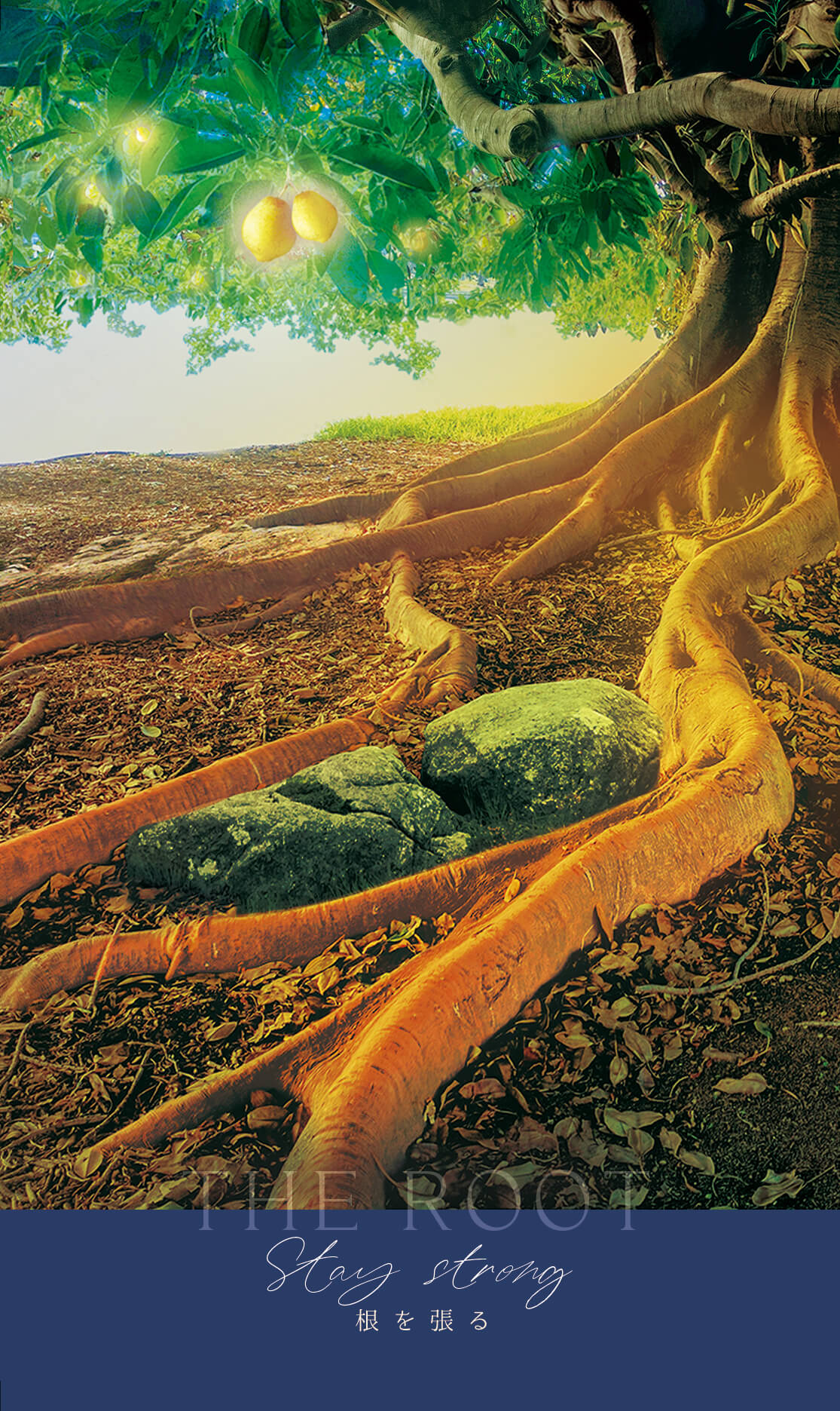  THE ROOT Stay strong 根を張る