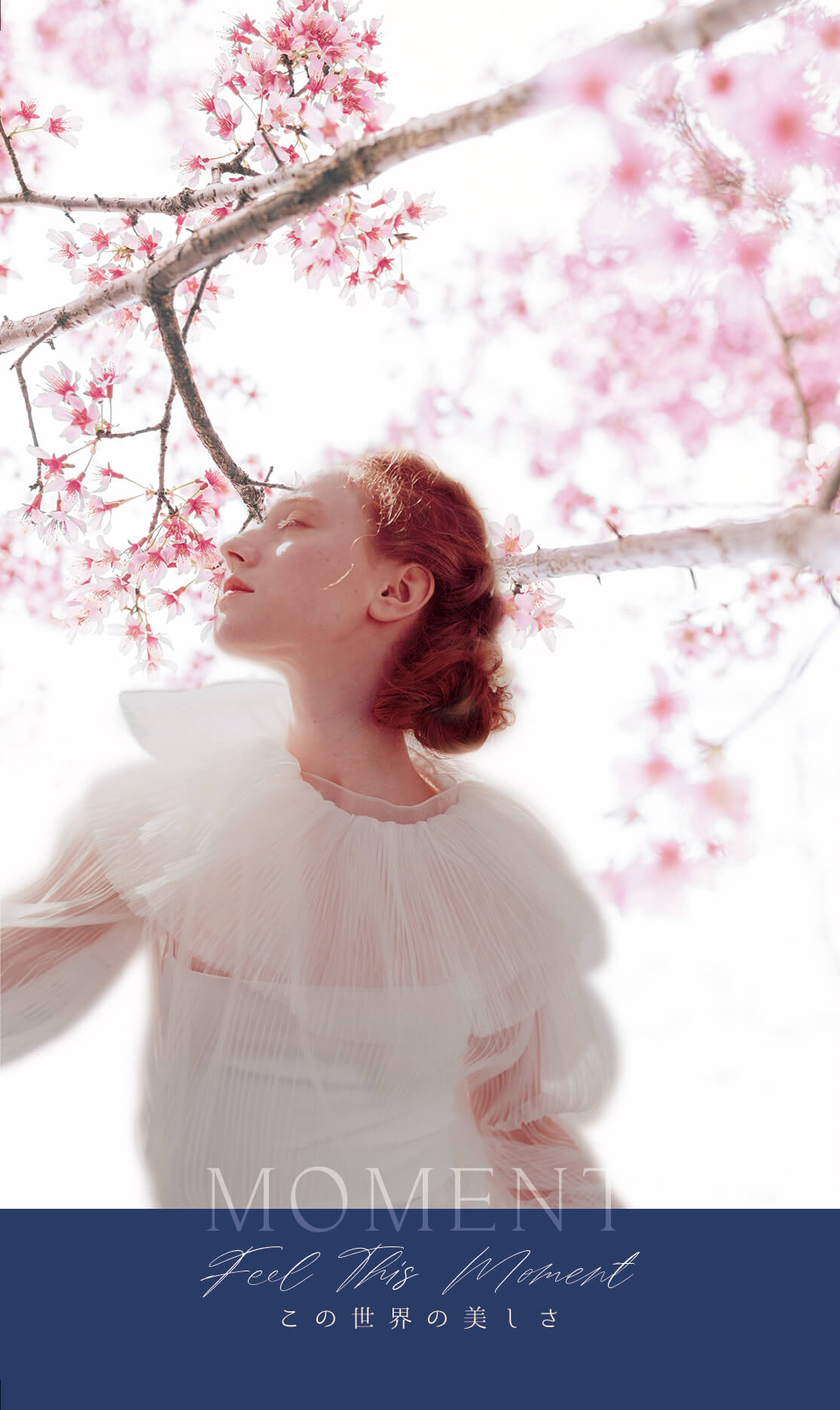  MOMENT Feel this moment この世界の美しさ 