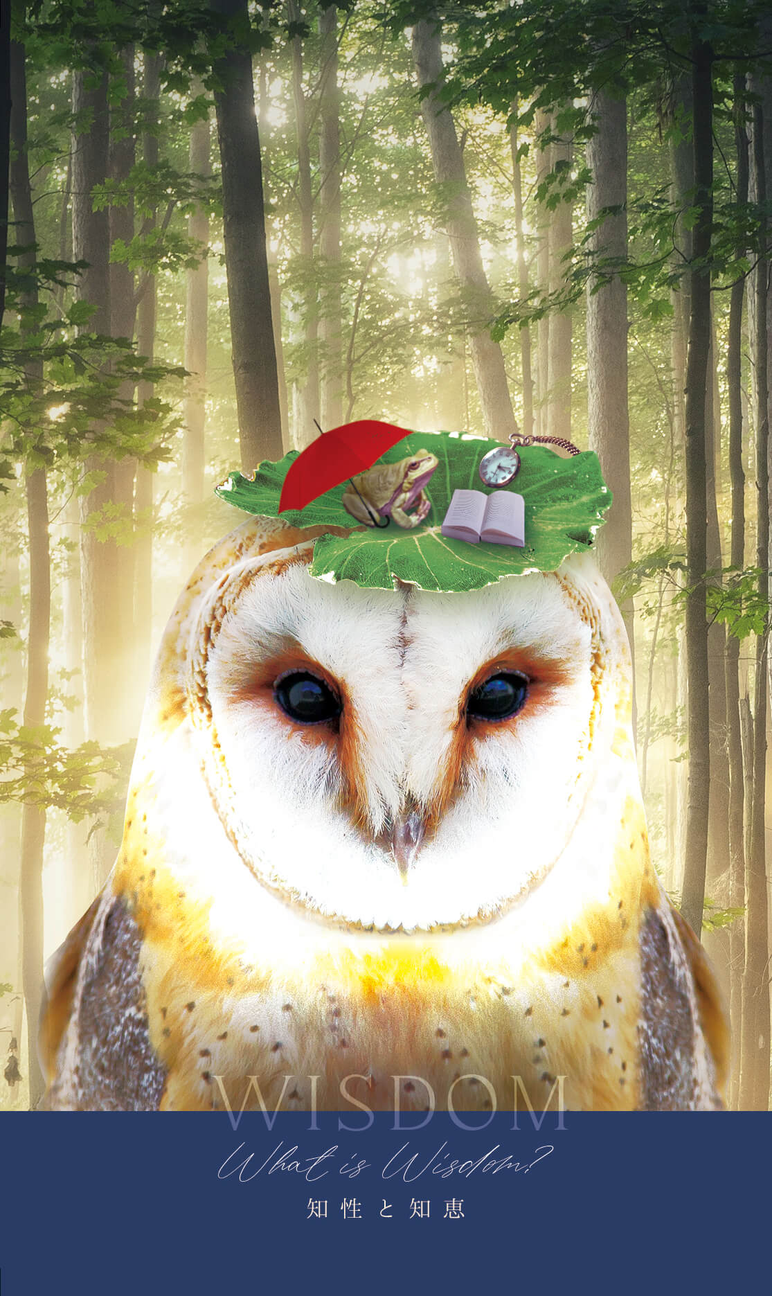  WISDOM What is Wisdom? 知性と知恵 