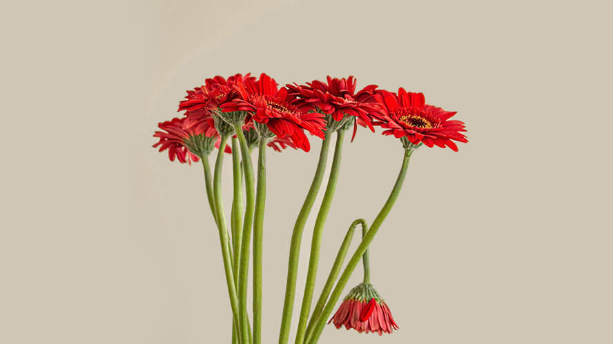 「仕事もう無理」は魂からのSOSです