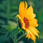 今の現状、自分自身の課題ズバリ当たっていて参考になりました