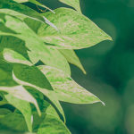 とても心が落ち着き、安心させてもらった時間でした