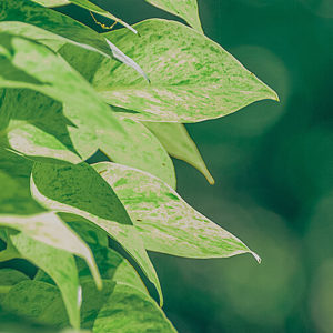 とても心が落ち着き、安心させてもらった時間でした